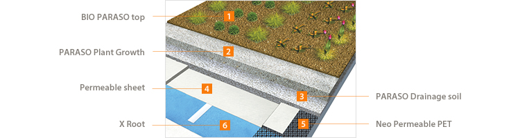 BIO PARASO top, PARASO Plant Growth, PARASO Drainage soil, Permeable sheet, Neo Permeable PET, X Root